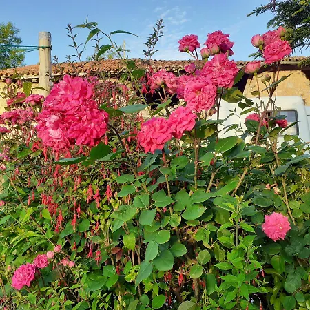 Holiday home Casa Llorente