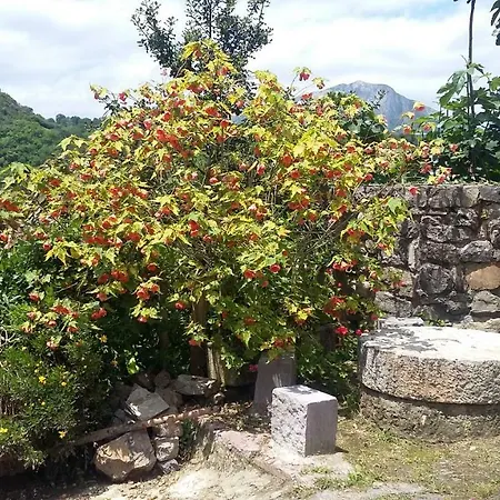 Casa Llorente *